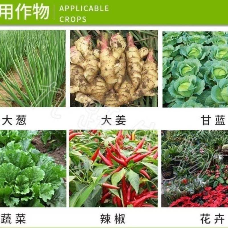 鑫星20%噻唑膦黄瓜番茄根结线虫专用根瘤病根线虫药灌根线