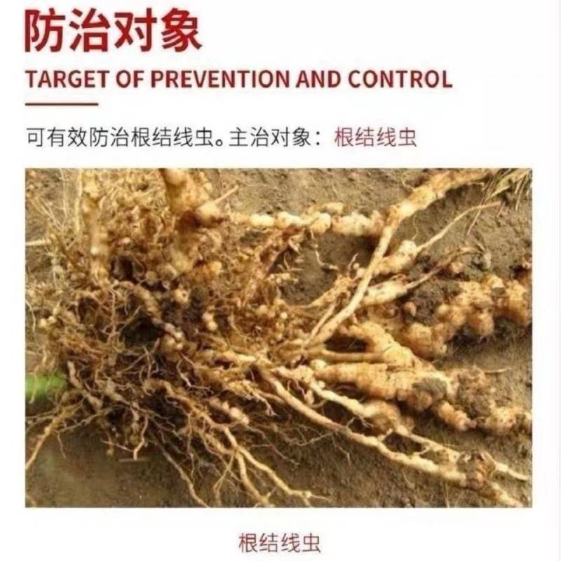 鑫星20%噻唑膦黄瓜番茄根结线虫专用根瘤病根线虫药灌根线