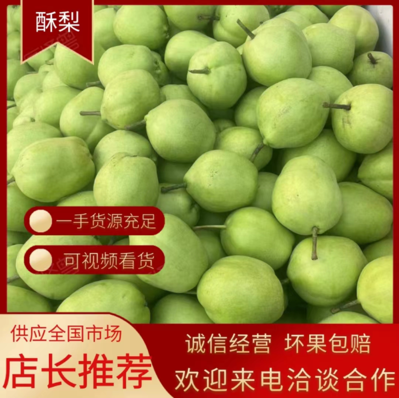 藤木一苹果大量上市，产地直销，一手货源，专业实力代收