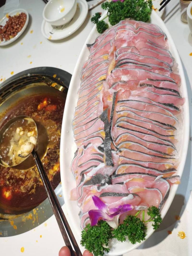 好货推荐大鲵娃娃鱼厂家直供批发零售仿生态养殖