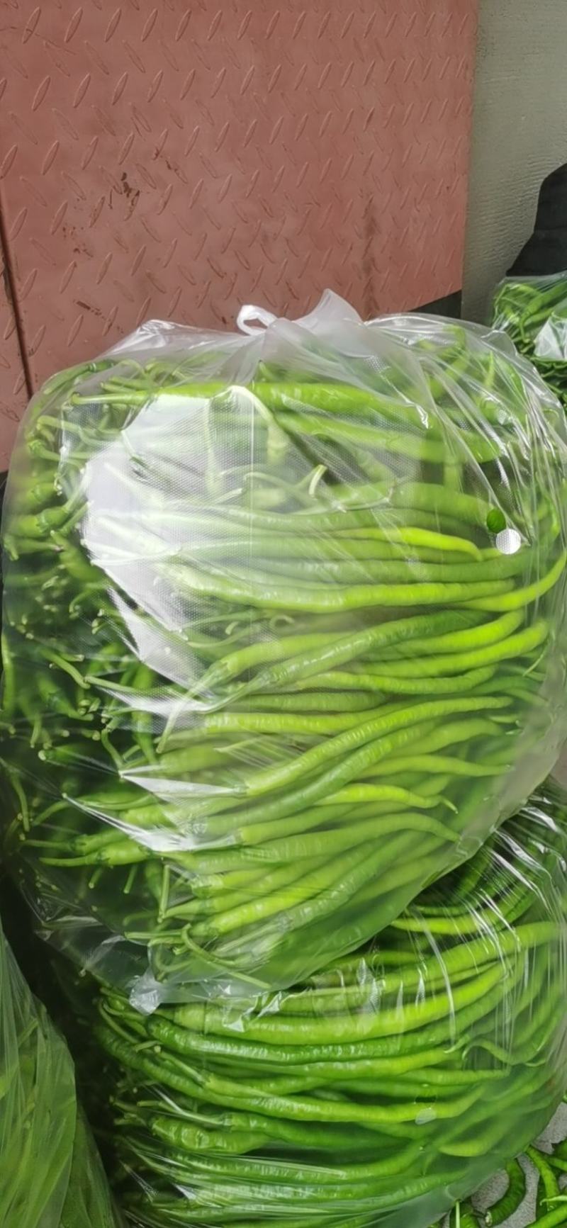 蔬菜办理山东临沂市沂水代办线椒，芹菜，等各种蔬菜