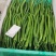 蔬菜办理山东临沂市沂水代办线椒，芹菜，等各种蔬菜