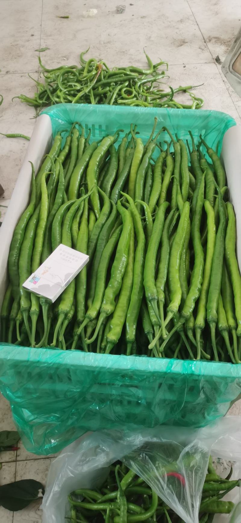蔬菜办理山东临沂市沂水代办线椒，芹菜，等各种蔬菜