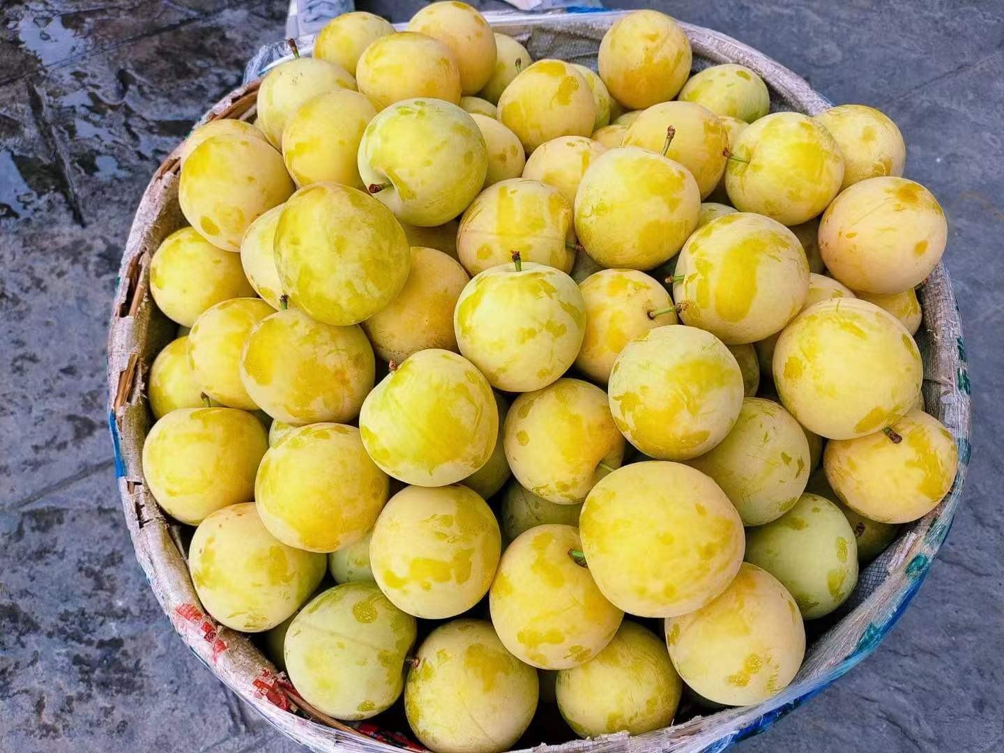 锅中正在融化冰糖,糖浆呈琥珀色,旁边摆放着串好的李子串 冰糖融化图