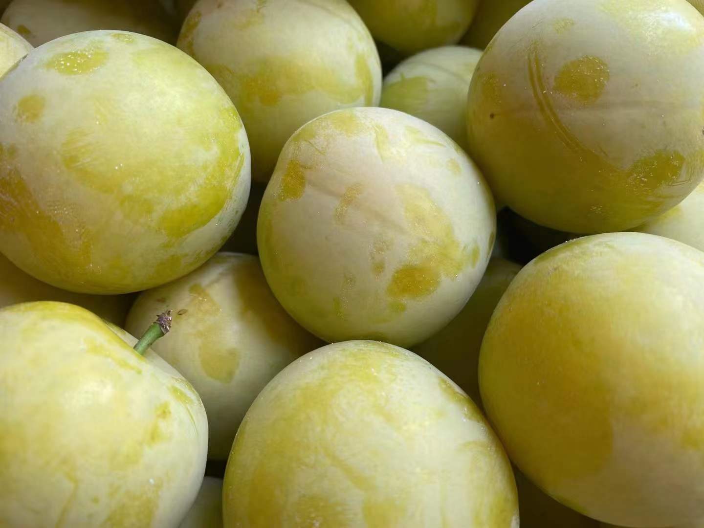 李子榨汁成品图