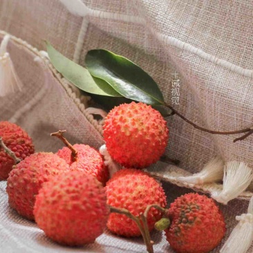 广东桂味荔枝，核小桂花味更浓郁一件代发
