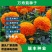 万寿菊种子，菊花种子臭芙蓉花种籽景观绿化花海花卉种子批发