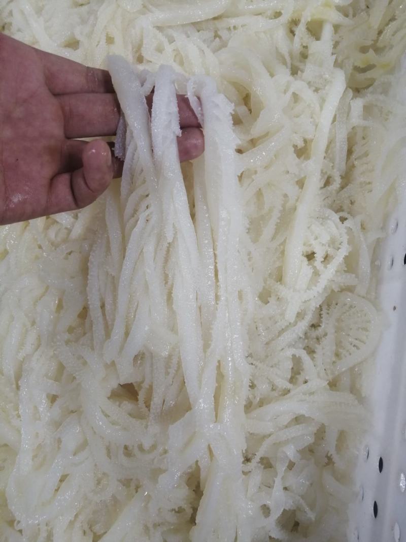 千层毛肚牛百叶黑千白千商用超市酒店食堂厂家一手资源诚信