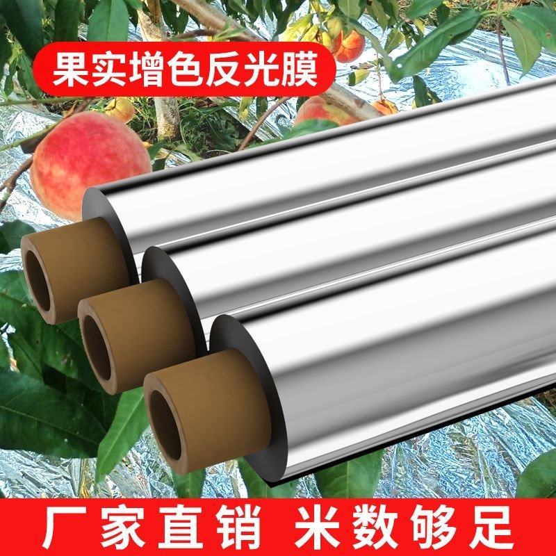 镀铝反光膜苹果葡萄樱桃增色大棚补温