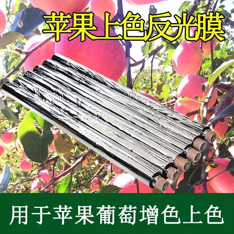 镀铝反光膜苹果葡萄樱桃增色大棚补温