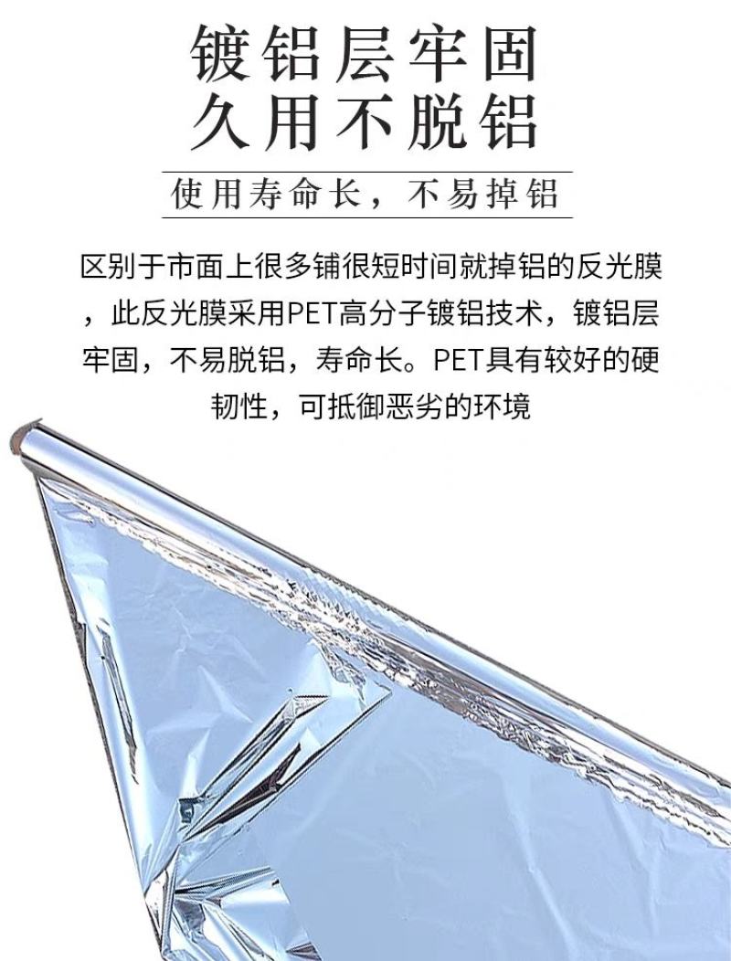 镀铝反光膜苹果葡萄樱桃增色大棚补温