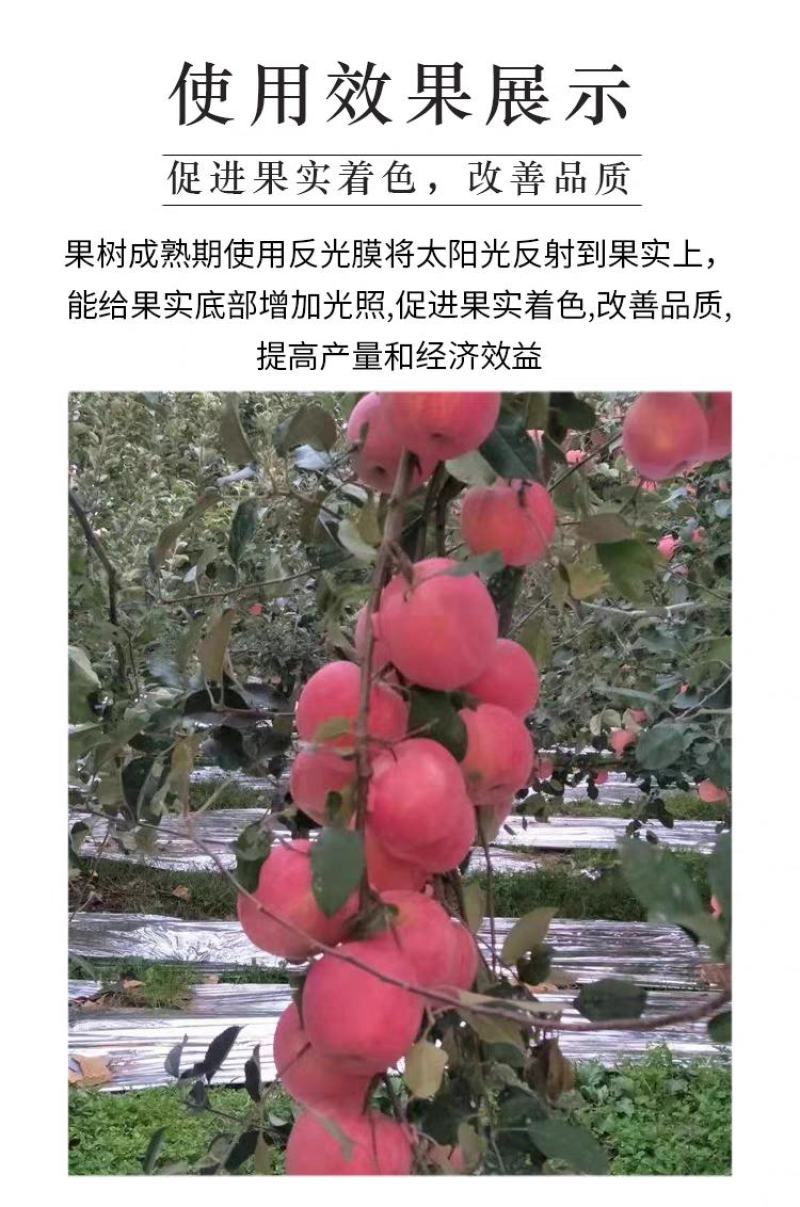 镀铝反光膜苹果葡萄樱桃增色大棚补温