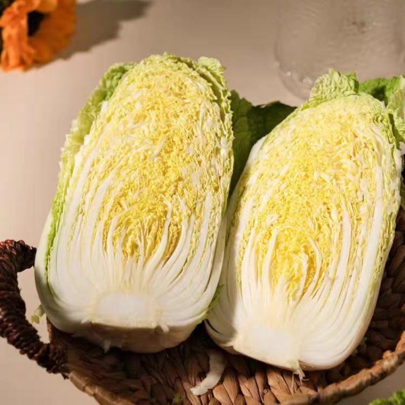 白菜黄心白菜产地一手货源，保质保量欢迎来电订购