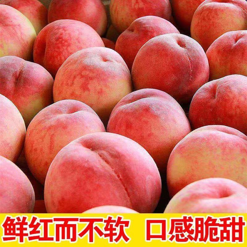 陕西礼泉水蜜桃，当天发货，当天采摘，日产50万斤
