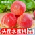 陕西礼泉水蜜桃，当天发货，当天采摘，日产50万斤