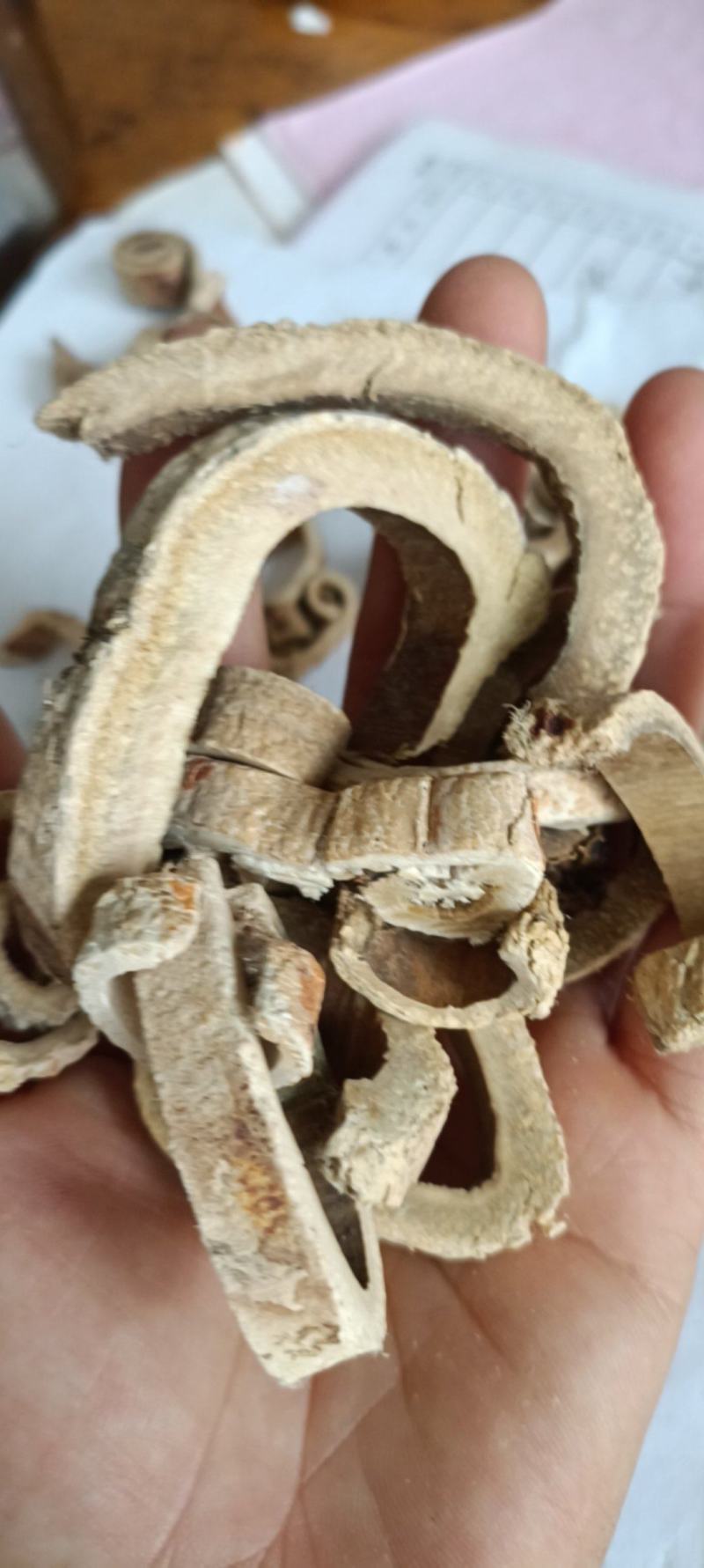 白桑皮，正品老根桑皮，无硫无添加，道地药材，支持在线下单