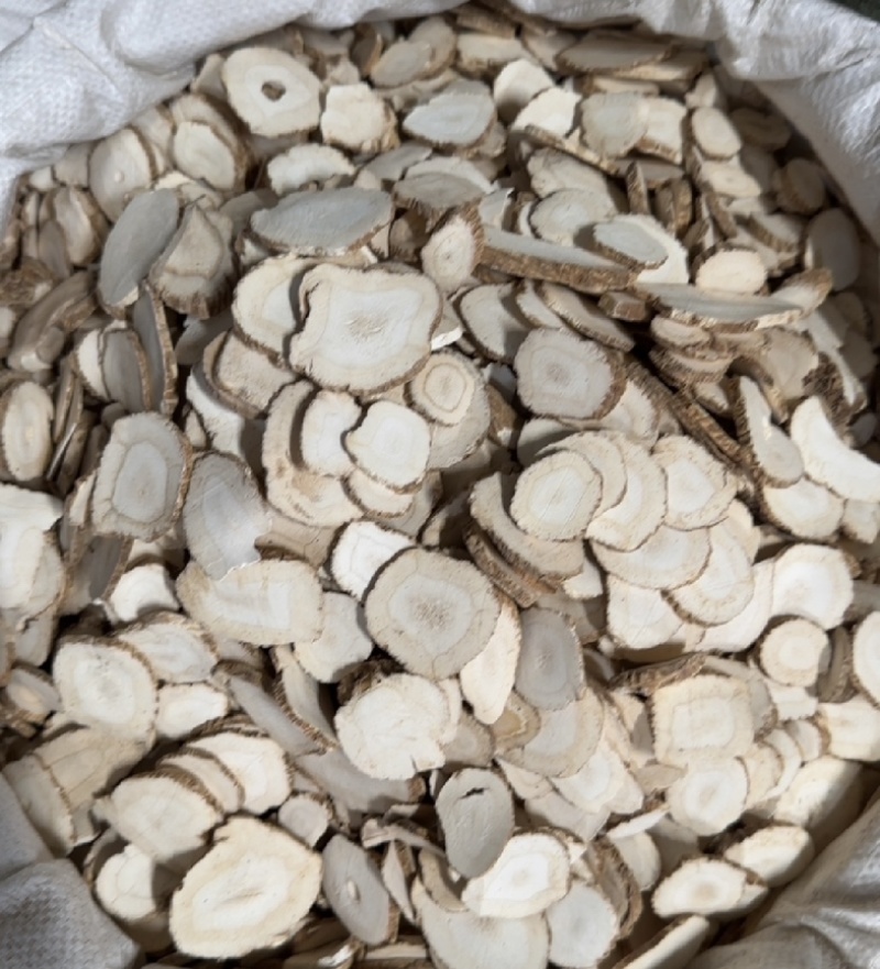 川白芷个振兴药材批发一手货源大货批发