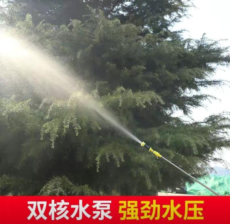 手提式电动喷雾器多功能农用充电果树打药洗车高压抽水隔膜双