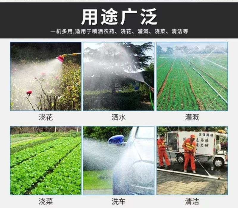 手提式电动喷雾器多功能农用充电果树打药洗车高压抽水隔膜双