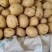 【热卖】精品沃土五号产地直发品种优良对接商超档口