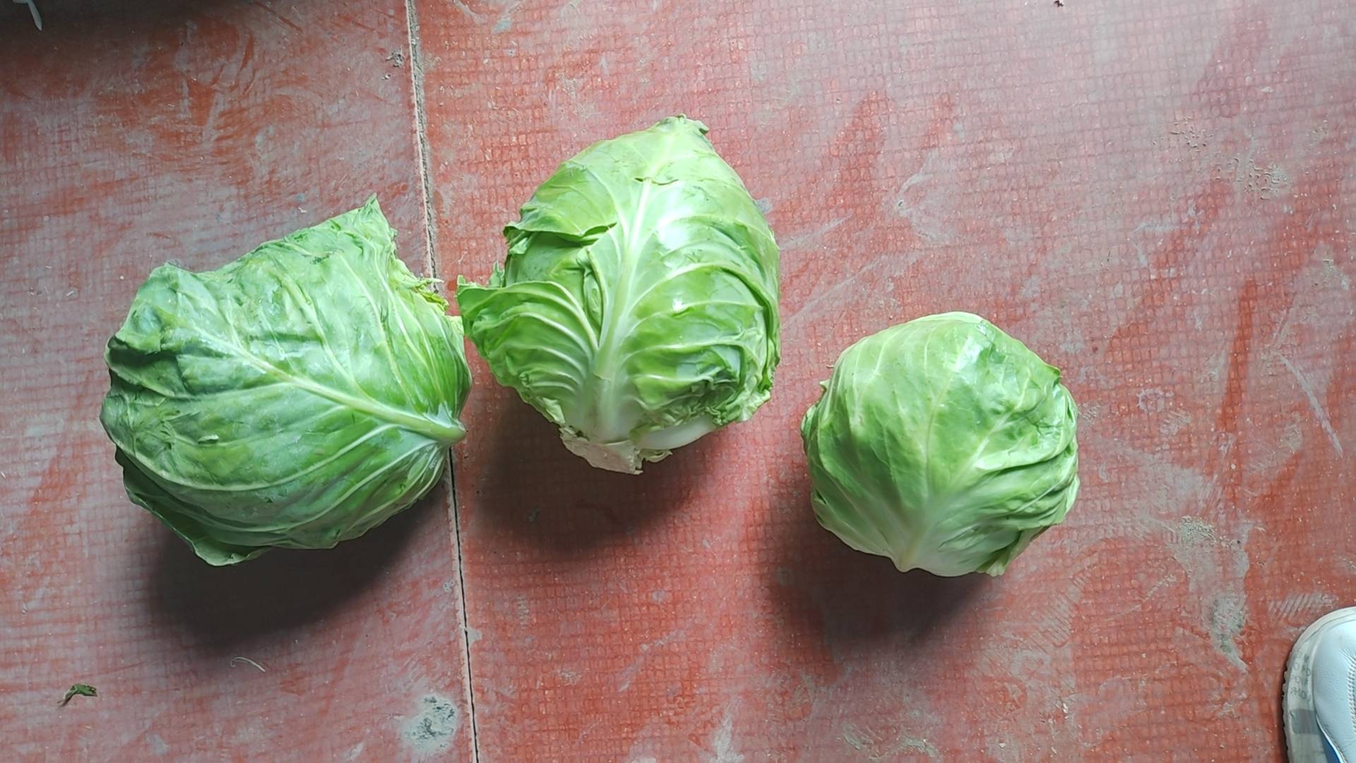 甘蓝类蔬菜的厨房应用场景