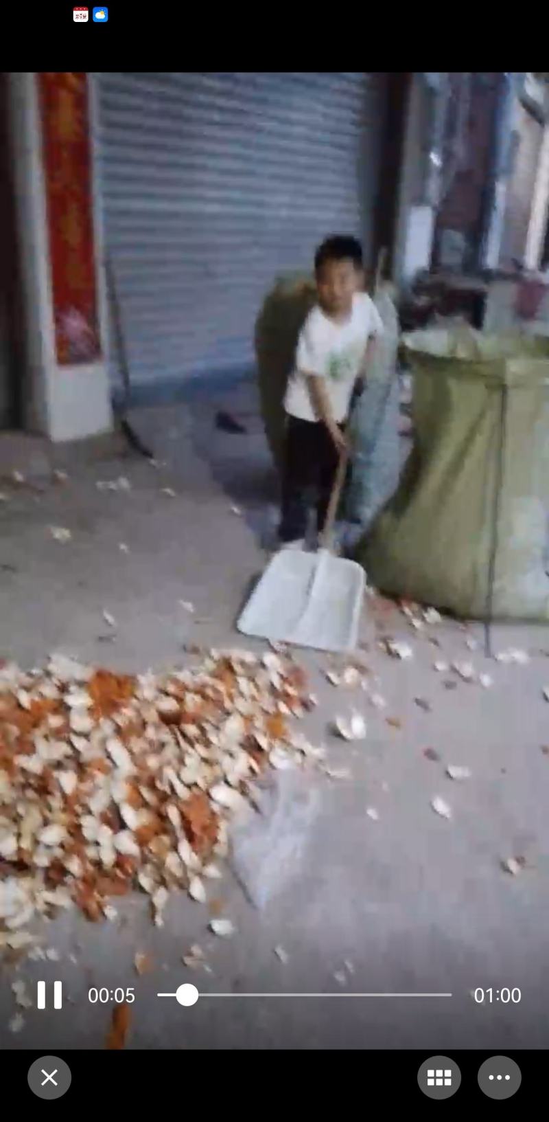 橘子皮，落地果
