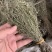 独脚金新货独角金中草药材积疳草黄花草独脚柑小儿草散装批发