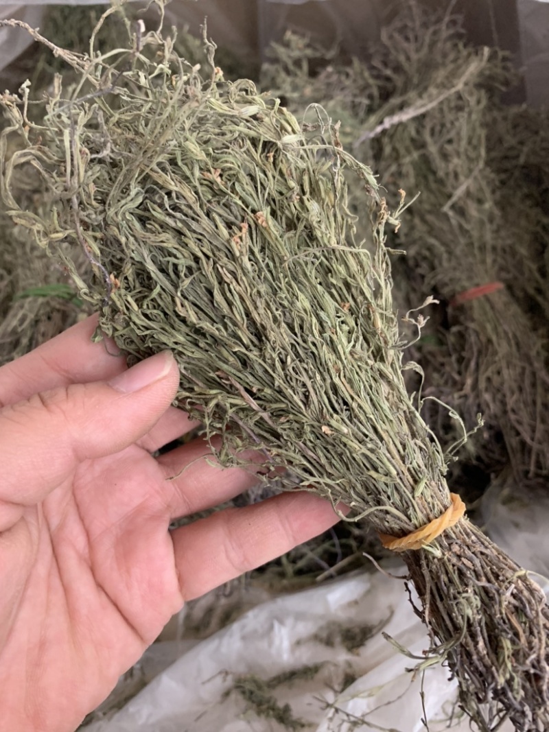 独脚金新货独角金中草药材积疳草黄花草独脚柑小儿草散装批发