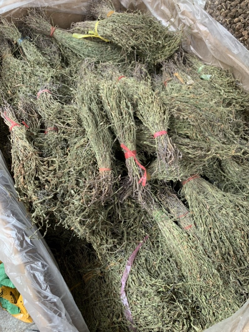 独脚金新货独角金中草药材积疳草黄花草独脚柑小儿草散装批发