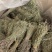 独脚金新货独角金中草药材积疳草黄花草独脚柑小儿草散装批发