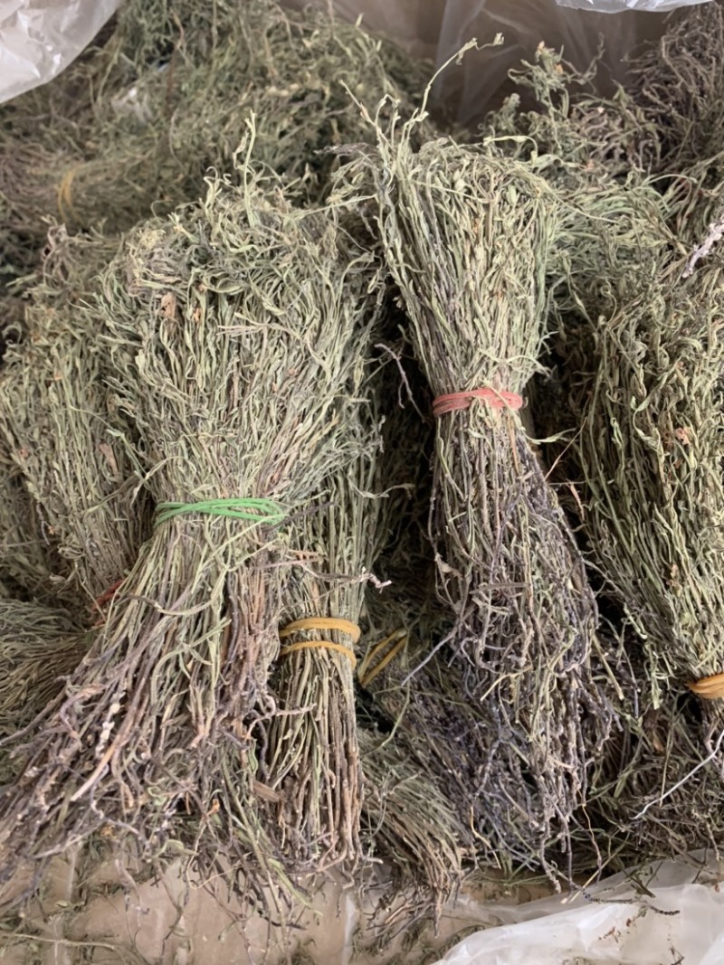 独脚金新货独角金中草药材积疳草黄花草独脚柑小儿草散装批发
