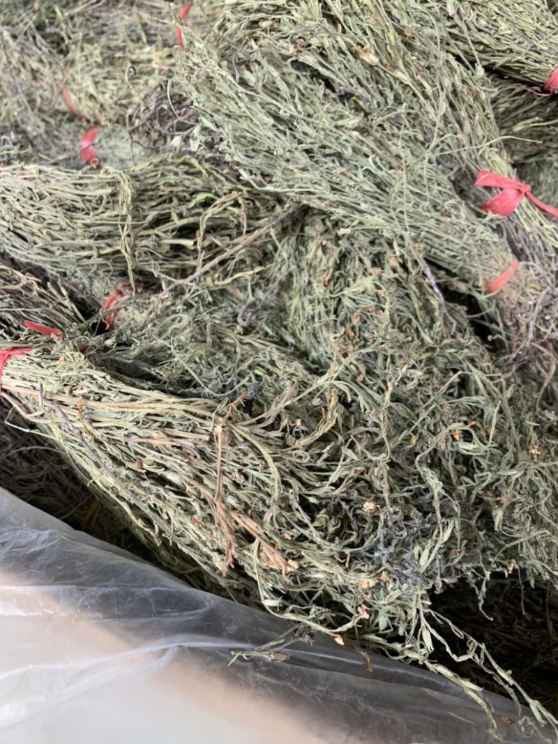 独脚金新货独角金中草药材积疳草黄花草独脚柑小儿草散装批发