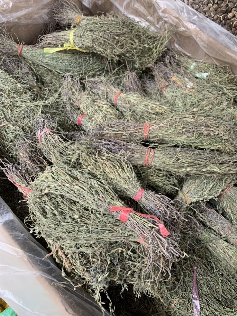 独脚金新货独角金中草药材积疳草黄花草独脚柑小儿草散装批发