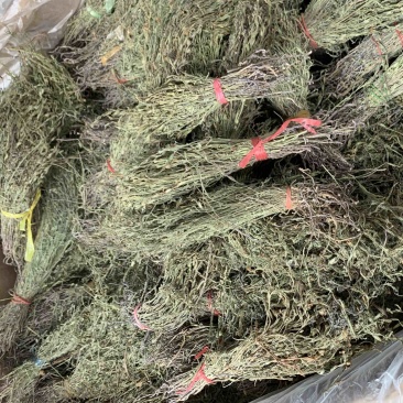 独脚金新货独角金中草药材积疳草黄花草独脚柑小儿草散装批发