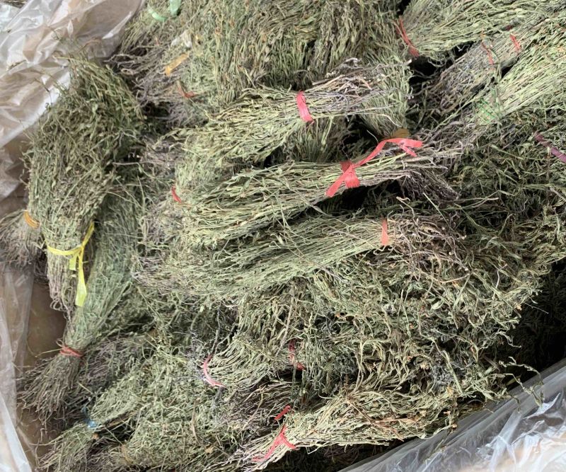 独脚金新货独角金中草药材积疳草黄花草独脚柑小儿草散装批发