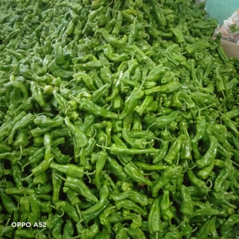 鲜泡椒