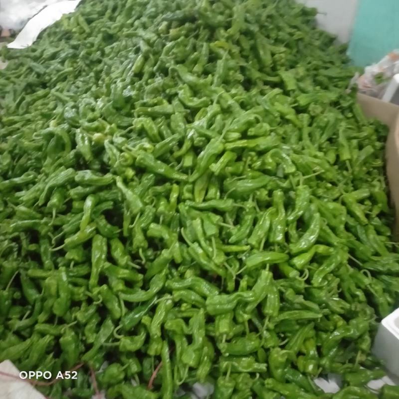 鲜泡椒