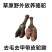 骆驼掌1只包邮中国驼乡乌后旗草原产地源头发货