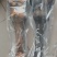 骆驼掌1只包邮中国驼乡乌后旗草原产地源头发货