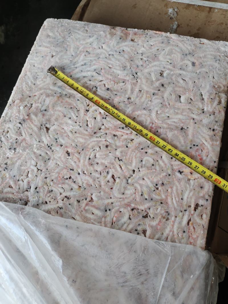 各种规格南极磷虾有货M号，L号，2L号等各个规格