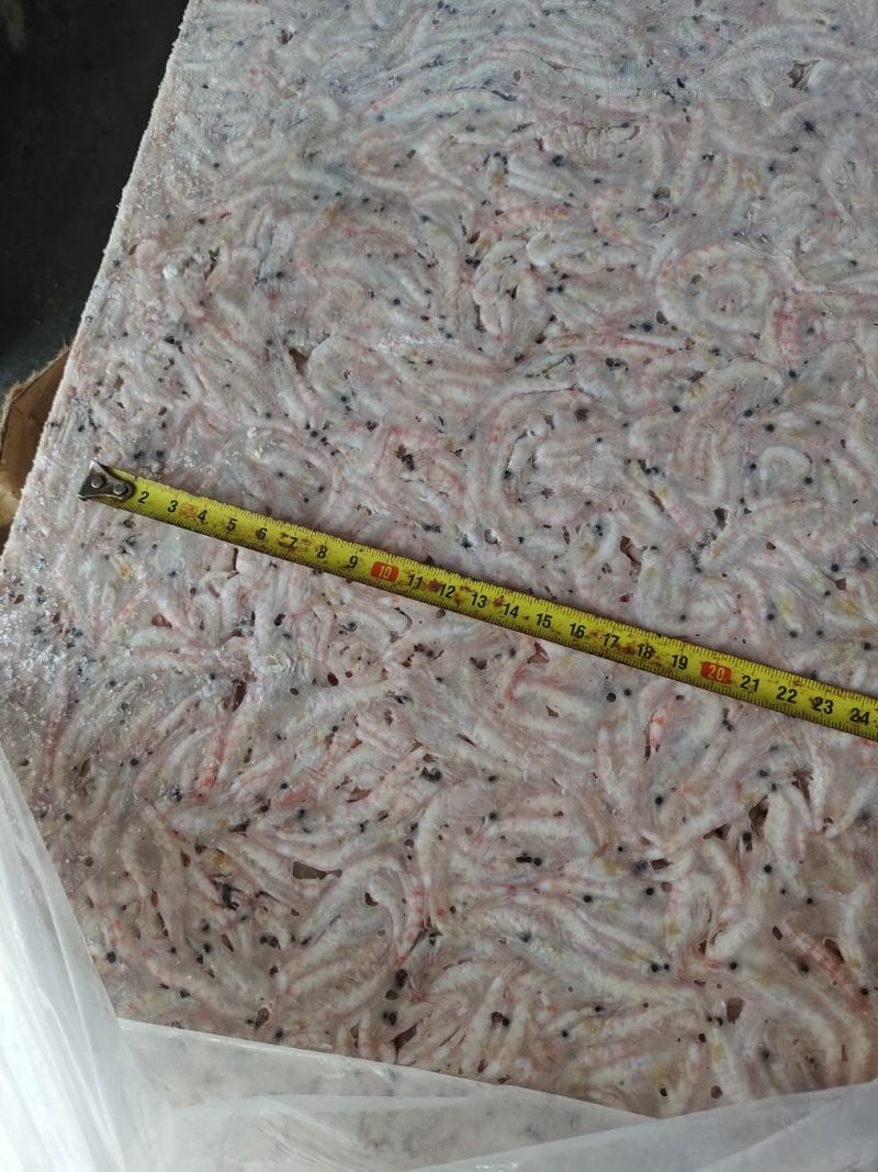各种规格南极磷虾有货M号，L号，2L号等各个规格