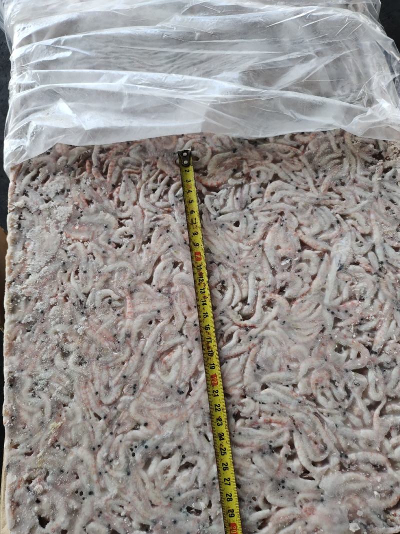 各种规格南极磷虾有货M号，L号，2L号等各个规格