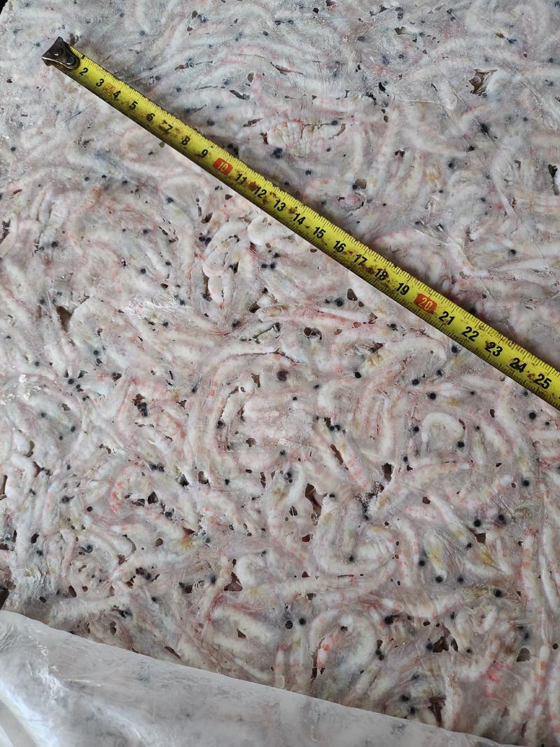 各种规格南极磷虾有货M号，L号，2L号等各个规格