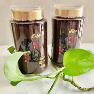 山东聊城冠县灵芝孢子粉，养生佳品，质优价廉，厂家直发