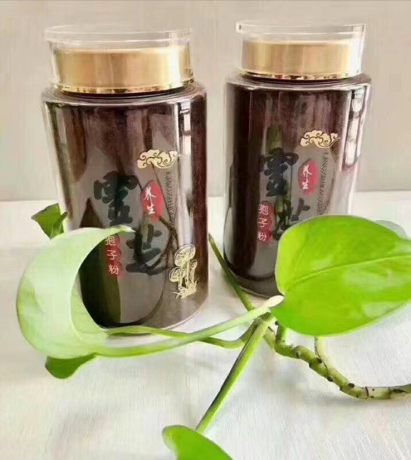 山东聊城冠县灵芝孢子粉，养生佳品，质优价廉，厂家直发