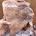 牛头肉跑江湖地摊热卖全熟黄牛头肉散装带皮牛肉冻货厂家批发