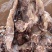 牛头肉跑江湖地摊热卖全熟黄牛头肉散装带皮牛肉冻货厂家批发