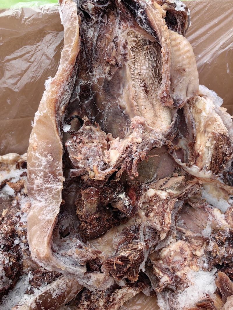牛头肉跑江湖地摊热卖全熟黄牛头肉散装带皮牛肉冻货厂家批发