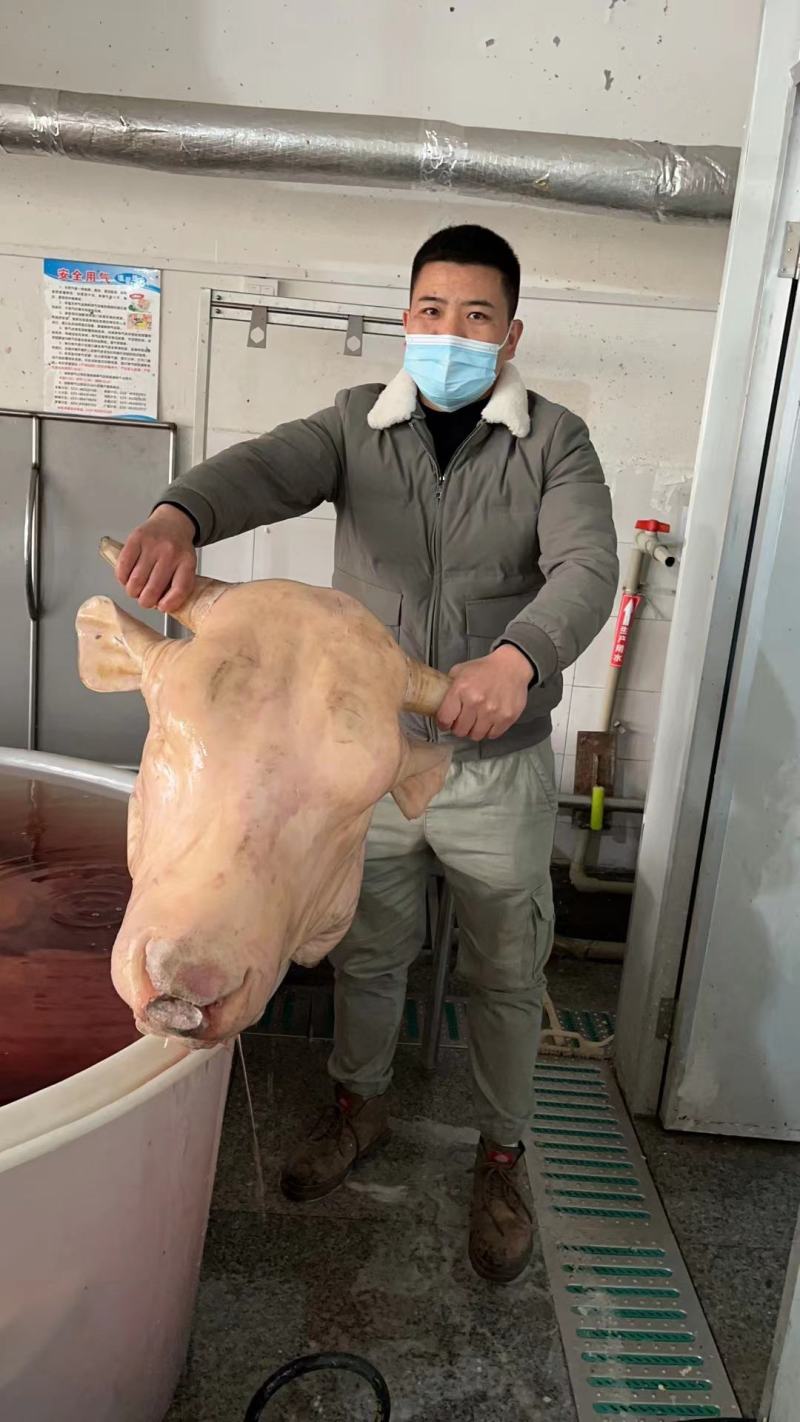 牛头肉跑江湖地摊热卖全熟黄牛头肉散装带皮牛肉冻货厂家批发
