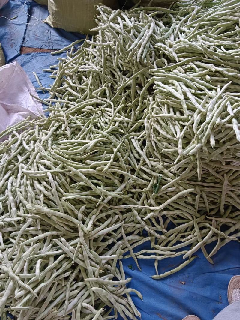 豆角，芸豆白不老豆角大量供应，产地供应！货源充足！就是好